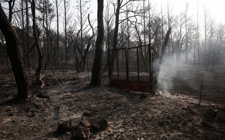 Φωτιά στη Βαρυμπόμπη: «Θα αναγεννηθεί το δάσος μέσα σε μία πενταετία»