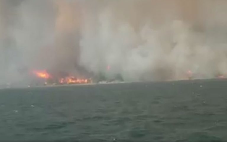 Φωτιά στην Εύβοια: Οι φλόγες έφτασαν στη θάλασσα στις Ροβιές (βίντεο)