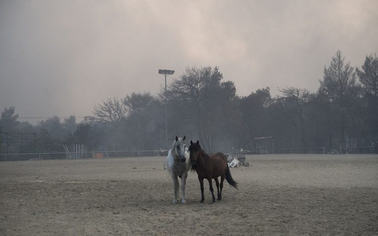 Φωτιά στη Βαρυμπόμπη: Περίπου 200 άλογα έχουν μεταφερθεί στο Ολυμπιακό Κέντρο Ιππασίας