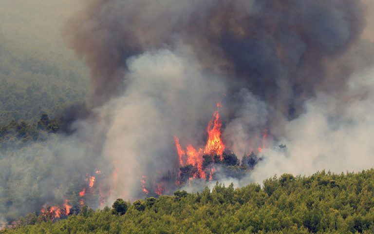 Εύβοια: Φωτιά στο Μετόχι Καρύστου