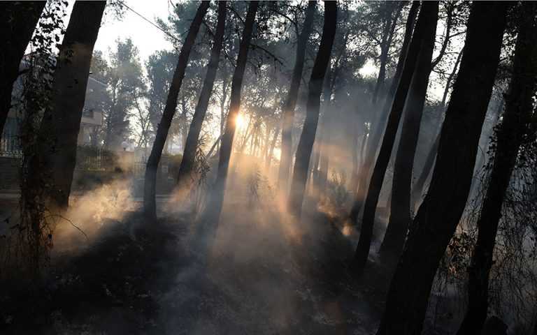 «Κοπέρνικος» για Εύβοια: Η καμένη έκταση μπορεί να φτάσει τα 700.000 στρέμματα