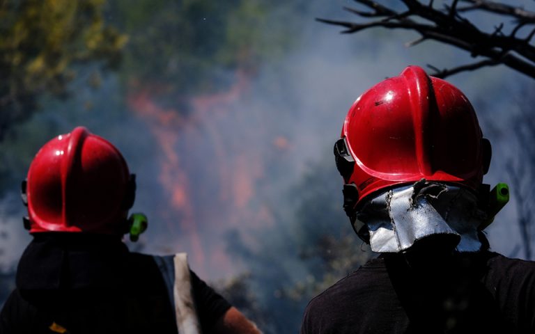 Φωτιά στα Βίλια: 299 πυροσβέστες με 61 Ρουμάνους και δεκάδες οχήματα επιχειρούν για την κατάσβεση