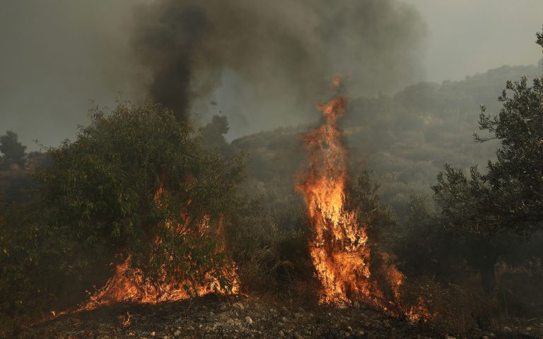 Κρήτη: Υπό έλεγχο φωτιά που ξέσπασε στο στο Καστέλλι Φουρνής Λασιθίου