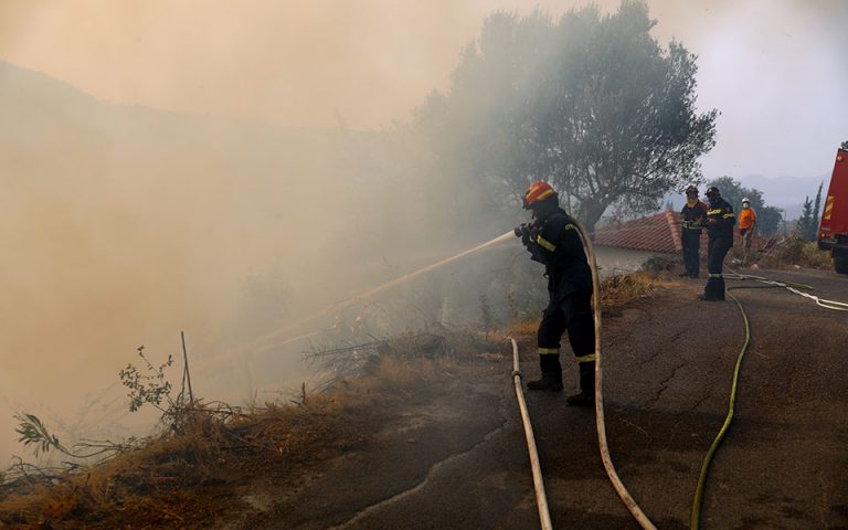 Φωτιά στην περιοχή Δρυάλια Λακωνίας