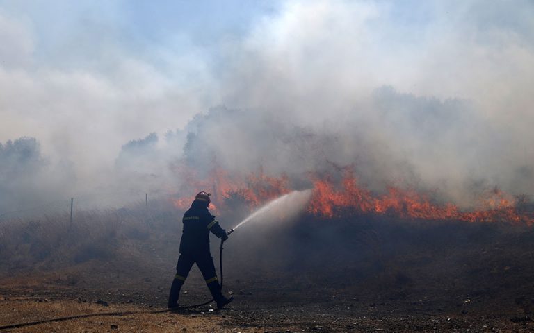 Χαλκιδική: Πρόστιμα για κίνδυνο πρόκλησης πυρκαγιάς
