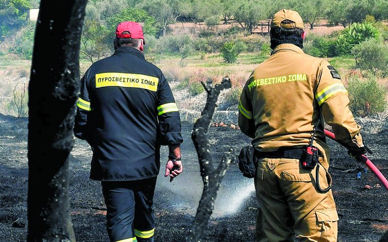 Δασικές πυρκαγιές: Η θεσμική ρίζα του κακού