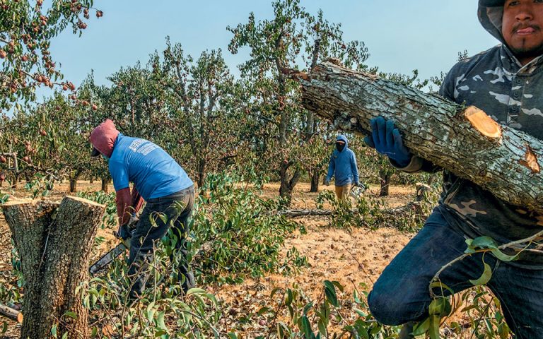 Η κλιματική αλλαγή σαρώνει και τις καλλιέργειες – Η ελληνική γεωργία σε κίνδυνο