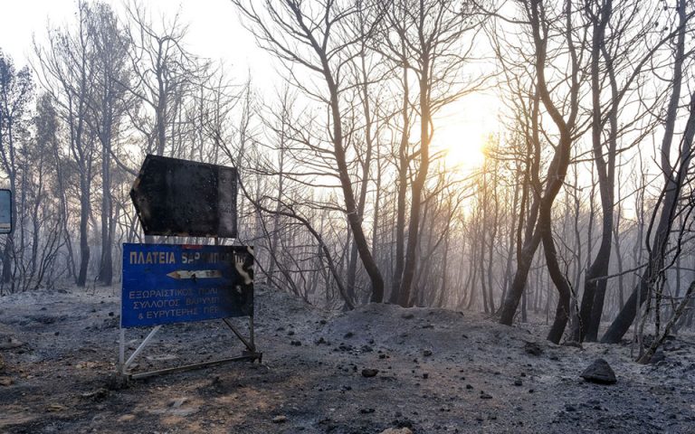 Φωτιές – Meteo: Κάηκε το 16% των δασών στην Αττική