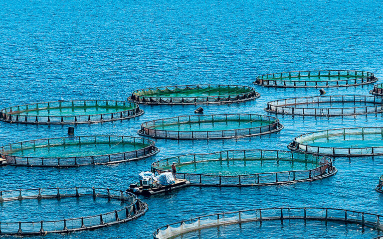 Επιδοτήσεις: 10 εκατ. για μεταποίηση προϊόντων αλιείας και υδατοκαλλιέργειας