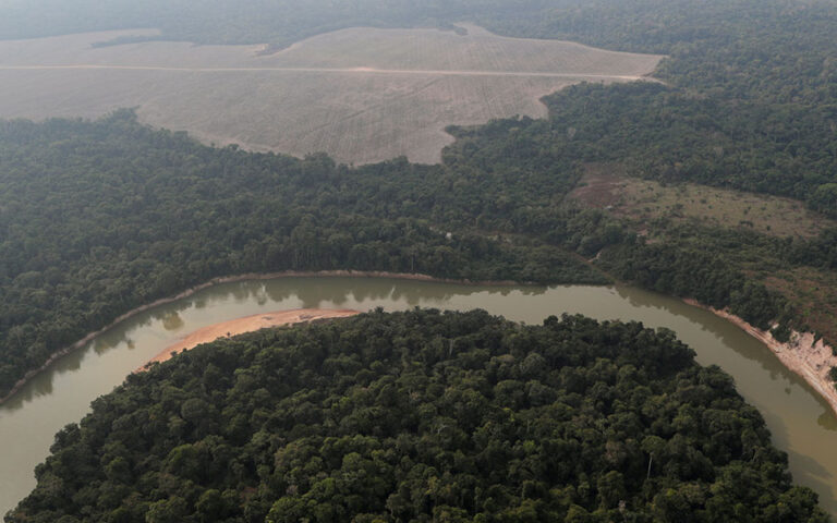COP26: Δέσμευση για τερματισμό της αποψίλωσης των δασών έως το 2030