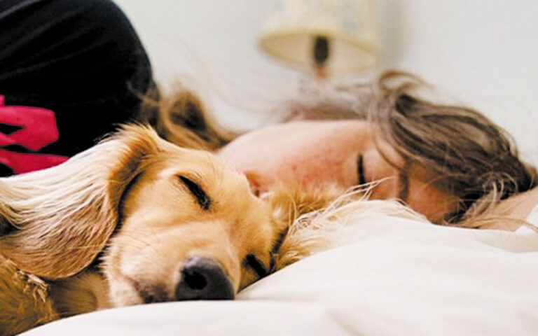 Λιγότερος ύπνος με τον σκύλο στο κρεβάτι