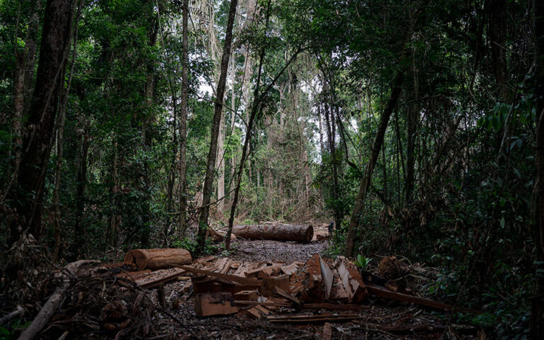 Βραζιλία: Αύξηση 22% της αποψίλωσης του Αμαζονίου – Η μεγαλύτερη εδώ και 15 χρόνια