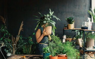 Η επιμελής φροντίδα των φυτών εσωτερικού χώρου έχει αναχθεί σε κάτι παραπάνω από μια απλή ασχολία· έχει γίνει σχεδόν επιστήμη. © FreshSplash/ Getty Images/ Ideal Image