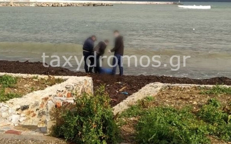 Θρίλερ στη Σκόπελο: Εντοπίστηκε πτώμα στο λιμάνι του νησιού (εικόνες)