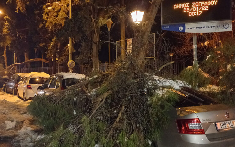 Ο Δήμος Ζωγράφου θα αποζημιώσει τα οχήματα που έπαθαν ζημιές από πτώση δέντρων