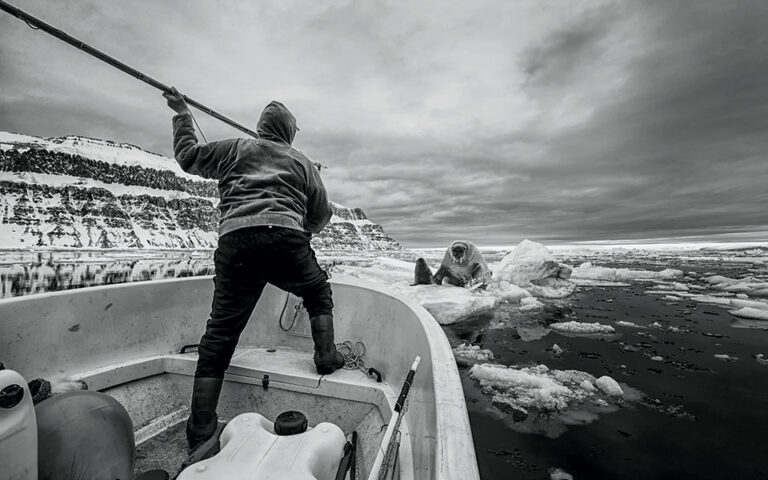 Greenland Unseen: Απίστευτες φωτογραφίες από κυνήγι άγριων ζώων στη Γροιλανδία