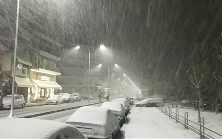 Πυκνή χιονόπτωση στη Φλώρινα – Κλειστά τα σχολεία πρωτοβάθμιας και δευτεροβάθμιας εκπαίδευσης