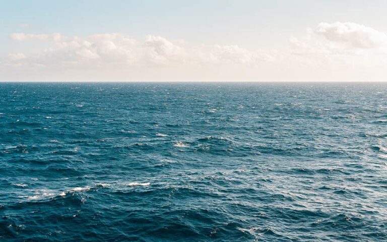 Θάλασσα: Οι προτεραιότητες για την προστασία των άγριων ζώων