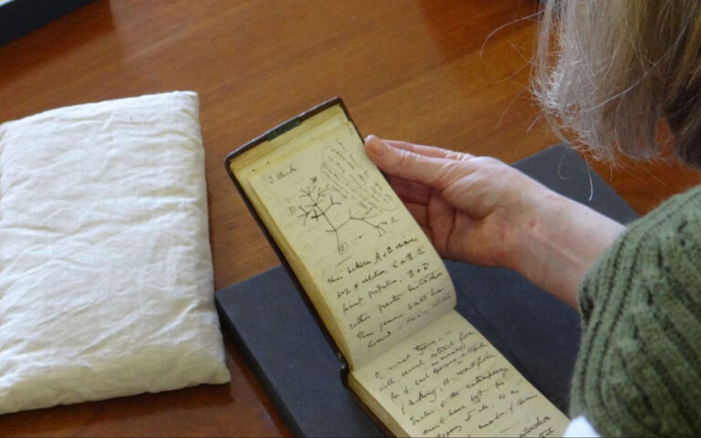 Τα κλεμμένα σημειωματάρια του Δαρβίνου επέστρεψαν μυστηριωδώς στο Πανεπιστήμιο του Κέιμπριτζ