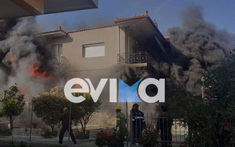 Εύβοια: Φωτιά σε επιχείρηση στο χωριό Βέλος (εικόνες)