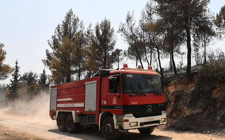 Φωτιά στο Αιάντειο Σαλαμίνας: Μεταβαίνουν ακτοπλοϊκώς από τον Πειραιά εννέα πυροσβέστες με τέσσερα οχήματα