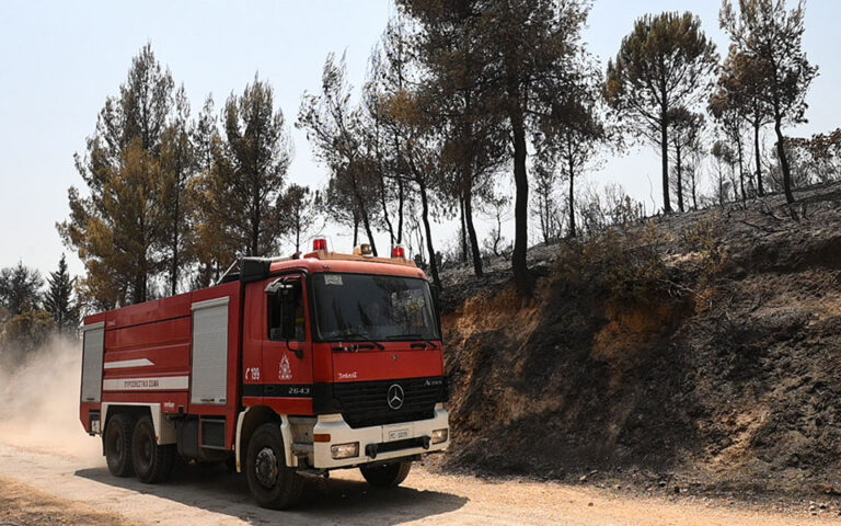 Καματερό: Φωτιά σε δασική έκταση – Στο σημείο 39 πυροσβέστες