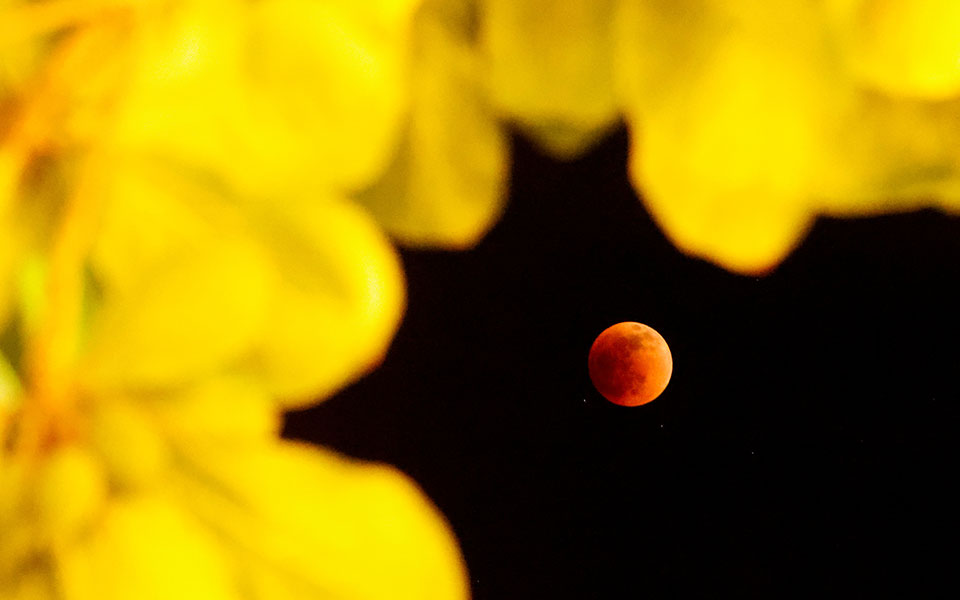 «Μαγεύει» η πανσέληνος και η ολική έκλειψη Σελήνης (εικόνες)-5