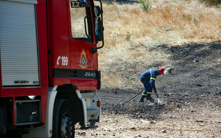 Σαλαμίνα: Υπό μερικό έλεγχο η πυρκαγιά σε δασική έκταση στο Αιάντειο