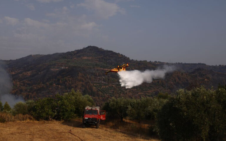 Φωτιά τώρα σε δασική έκταση στη Σκόπελο – Επιχειρούν και εναέρια μέσα