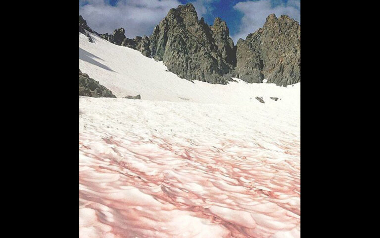«Ματωμένο χιόνι» στην οροσειρά των Αλπεων