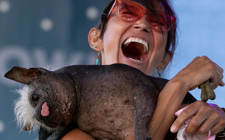 ΗΠΑ: Ο «πιο άσχημος σκύλος του κόσμου» για το 2022