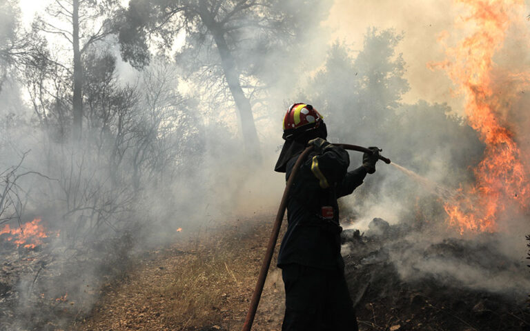 Φωτιά τώρα: Πυρκαγιά σε χορτολιβαδική έκταση στην περιοχή Γάια Ευβοίας