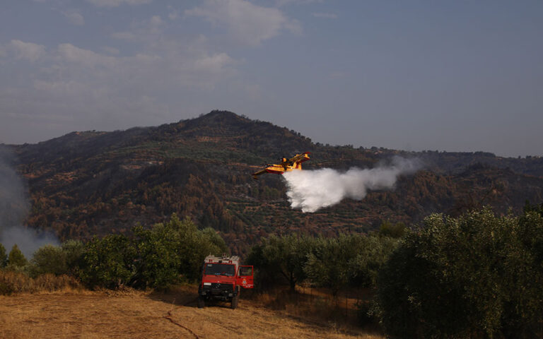 Πυρκαγιά στην Γάια Ευβοίας: Μήνυμα από το 112 στους κατοίκους του Κρεμαστού
