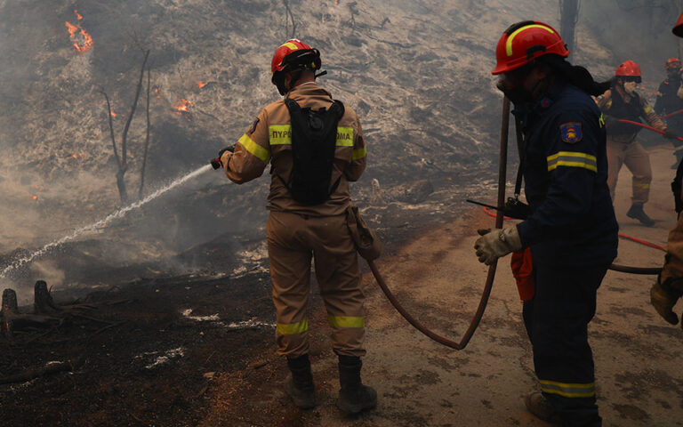 Αλεξανδρούπολη: Φωτιά τώρα σε δάσος στο Αετοχώρι