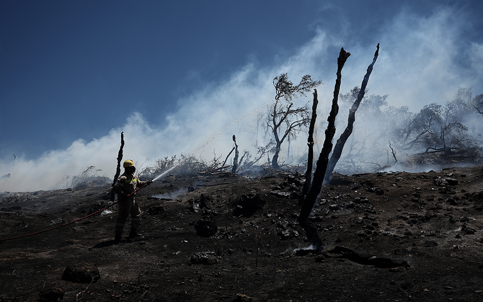 Καλύτερη η εικόνα από το μέτωπο της πυρκαγιάς στη Φέριζα Σαρωνικού-2