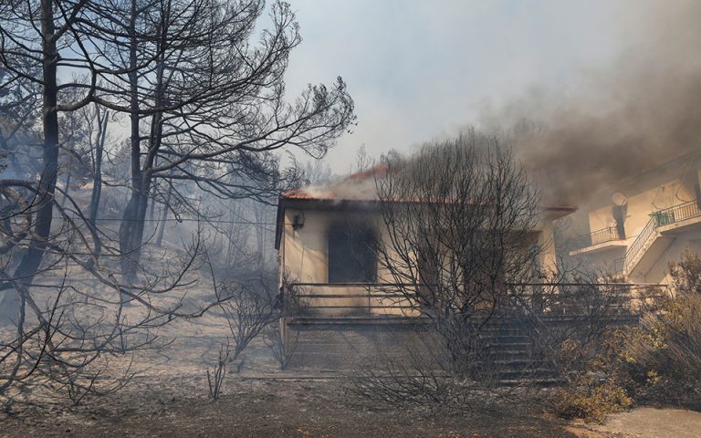 Πυρκαγιές: Ώρες αγωνίας στον Έβρο, μάχη με τις φλόγες στη Λέσβο, σε εξέλιξη η φωτιά στη Μεσσηνία