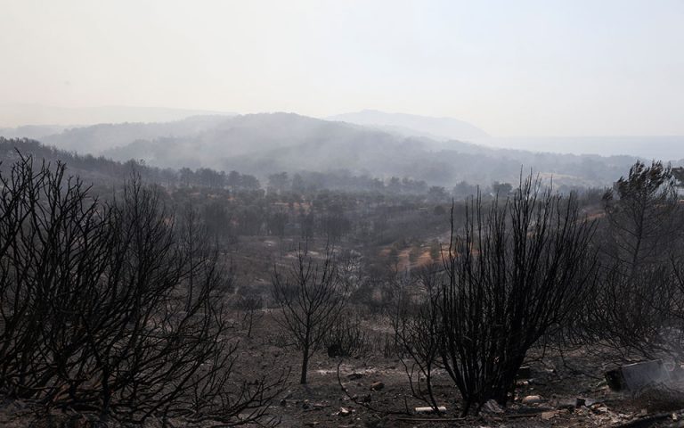 Πυρκαγιές: Πού υπάρχουν ενεργά μέτωπα – Αντιπυρικές ζώνες στη Δαδιά, συνεχίζεται η μάχη με τη φωτιά στη Λέσβο