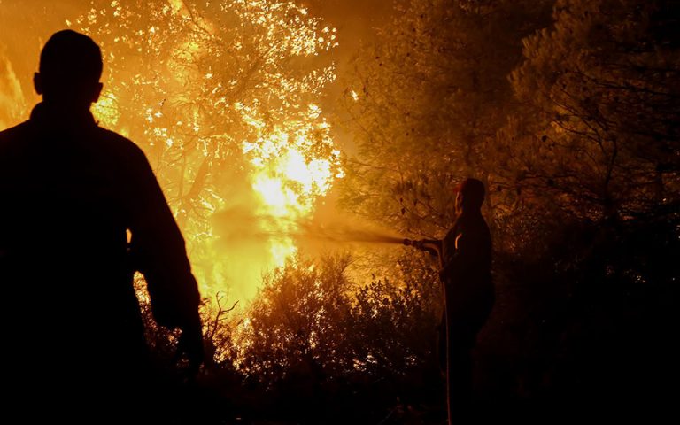 Φωτιές: Συνεχίζεται η μάχη με τις φλόγες στη Δαδιά – Βελτιωμένη η εικόνα στη Μάνδρα