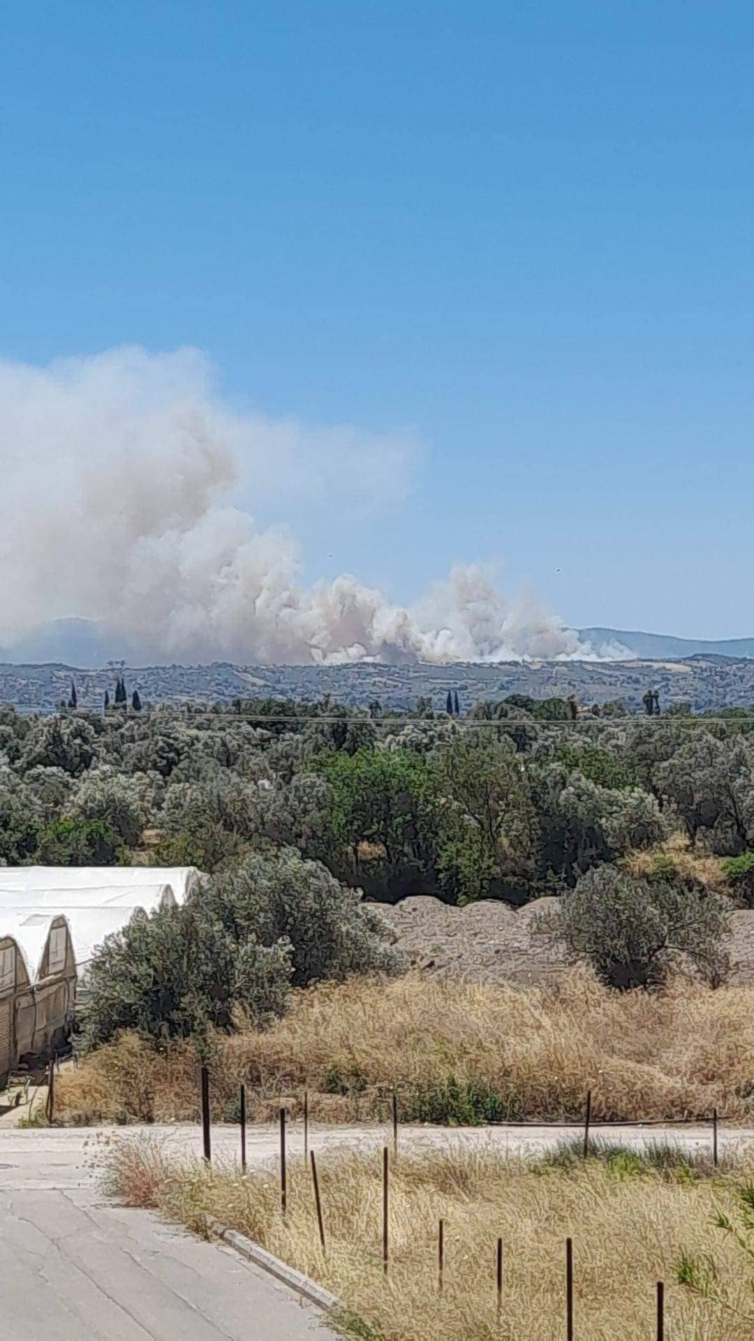 Φωτιά τώρα στον Δήμο Τανάγρας – Εισήγηση για προληπτική εκκένωση του Δηλεσίου-3