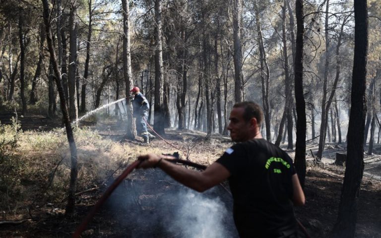 Φωτιές: Υπό έλεγχο οι πυρκαγιές στην Ηλεία, οριοθετημένο το μέτωπο στην Κορινθία