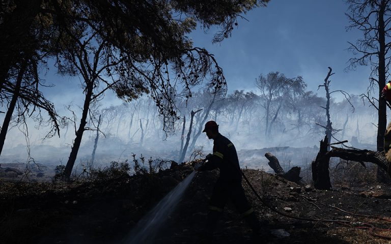 Φωτιά: Μάχη με τις φλόγες σε Κορινθία και Ηλεία