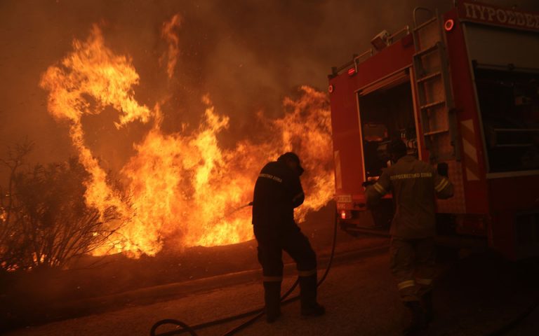 Ε.Ε.: Δραματική αύξηση δασικών πυρκαγιών