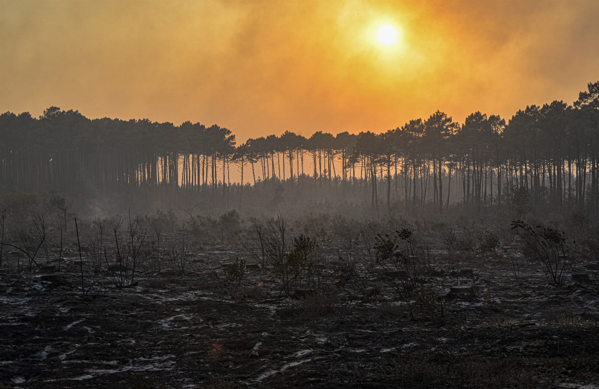Πυρκαγιές: Στάχτη χιλιάδες στρέμματα δασών στην Ευρώπη-1