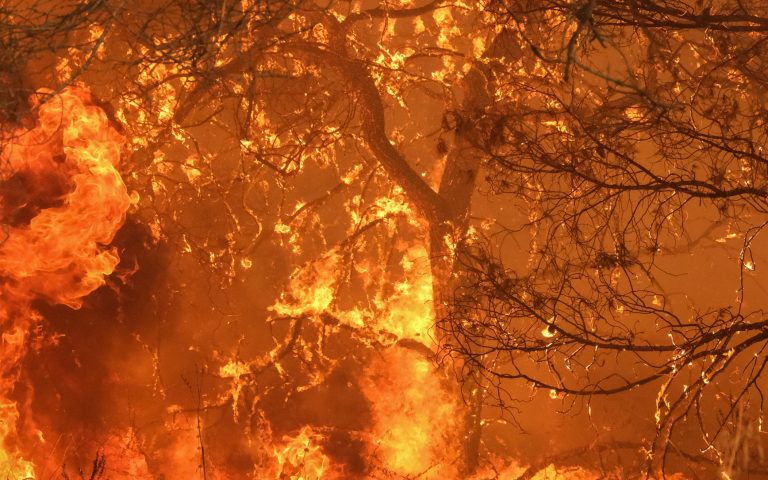 Κόρινθος: Φωτιά σε δασική έκταση στο Ξυλόκαστρο