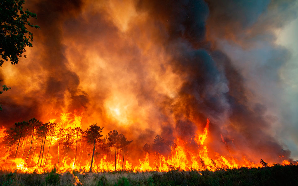«Η κλιματική αλλαγή επηρεάζει τους πάντες»: Καύσωνας διαρκείας και πυρκαγιές δοκιμάζουν την Ευρώπη-8