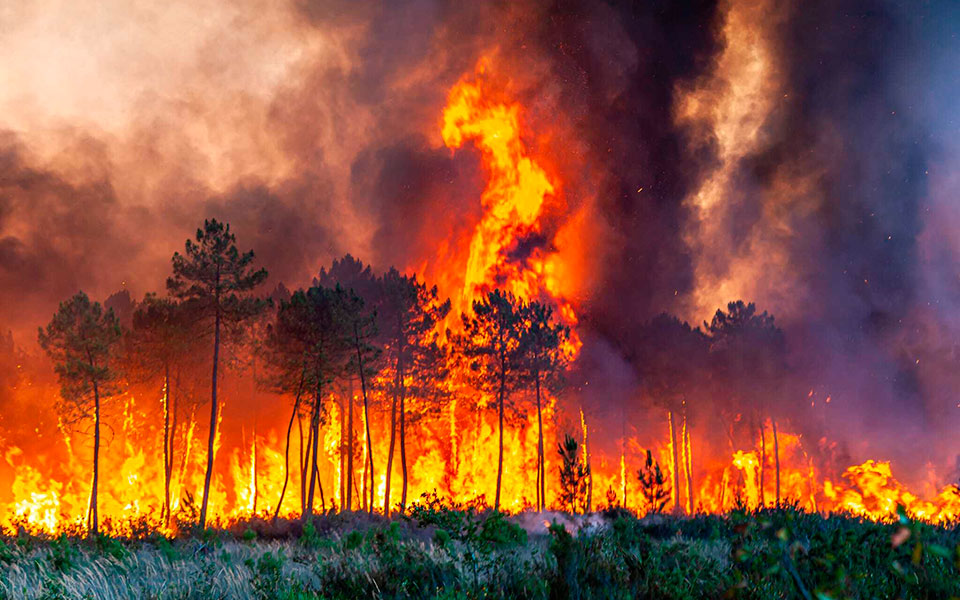 «Η κλιματική αλλαγή επηρεάζει τους πάντες»: Καύσωνας διαρκείας και πυρκαγιές δοκιμάζουν την Ευρώπη-7