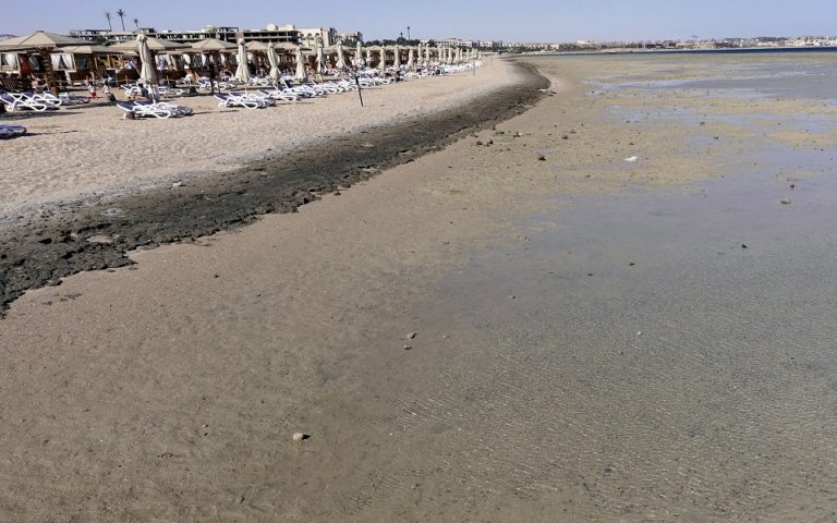 Αίγυπτος: Έκλεισαν παραλίες στην Ερυθρά Θάλασσα λόγω θανατηφόρας επίθεσης από καρχαρία