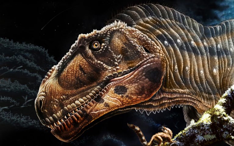 Αργεντινή: Ανακαλύφθηκε νέο είδος γιγάντιου δεινοσαύρου