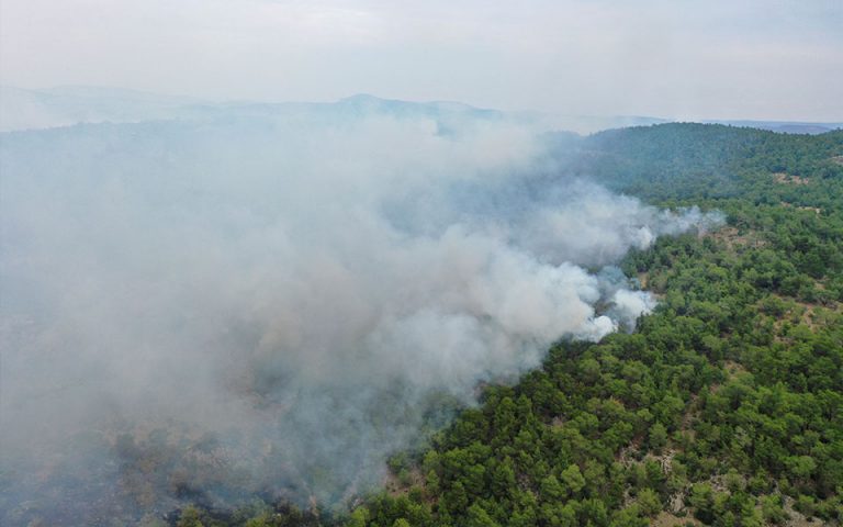 Μάχη με τις φλόγες στη Δαδιά, βελτιωμένη η εικόνα στη Λέσβο, σε ύφεση η πυρκαγιά στην Ηλεία