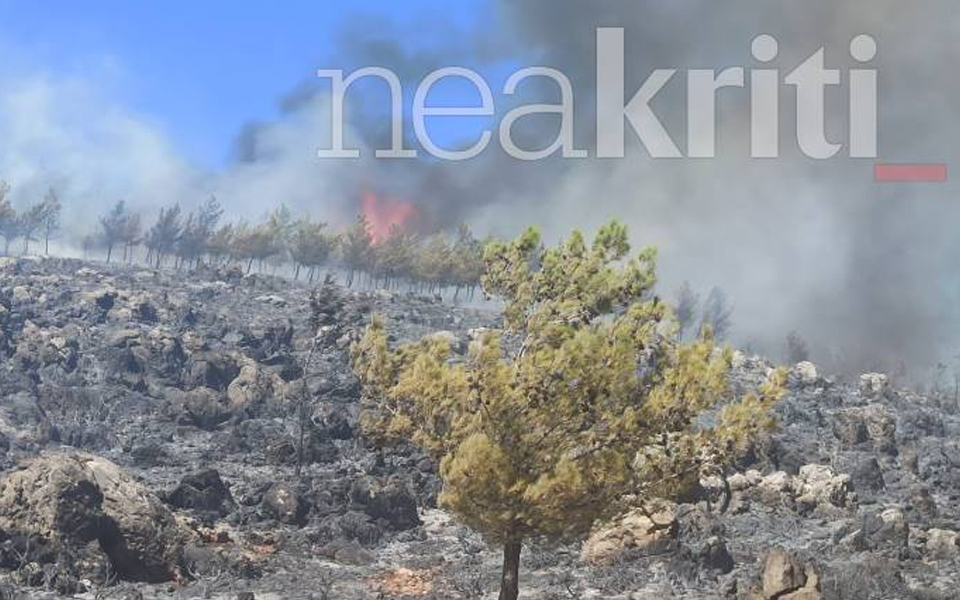 Μάχη με τις φλόγες σε Κρήτη και Αχαΐα – Μεγάλη κινητοποίηση της Πυροσβεστικής-1
